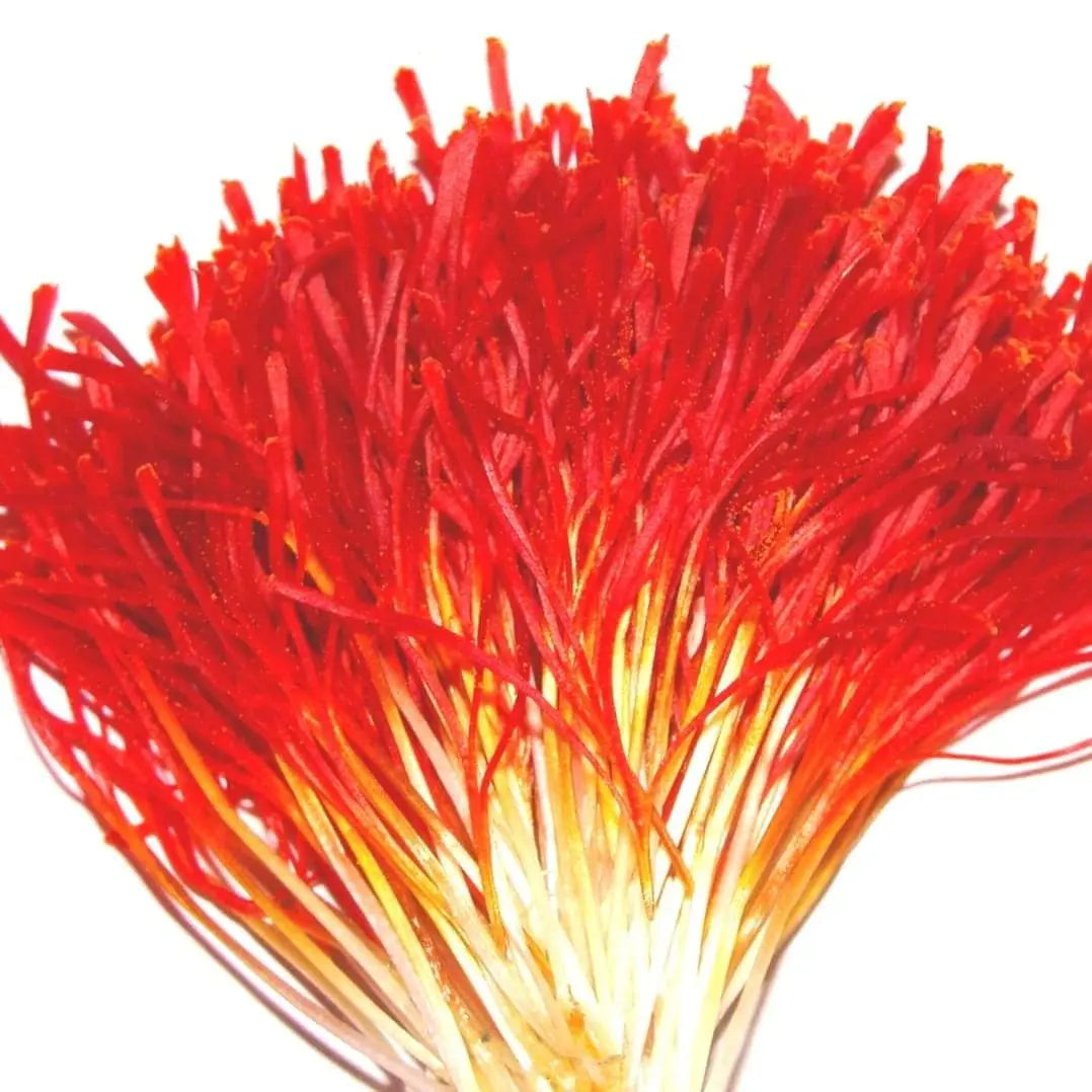 Saffron 10gsaffron WSMwsm